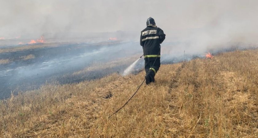 15 спасателей тушили загоревшуюся траву в Каменском районе 