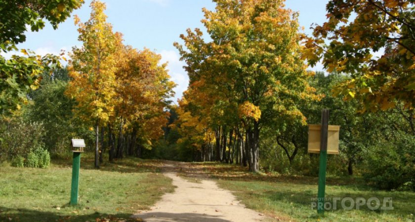 Пензенцам рассказали о погоде в первые выходные сентября