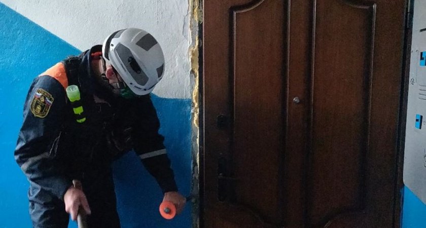 В Пензе из квартиры на улице Ульяновской доносились крики о помощи