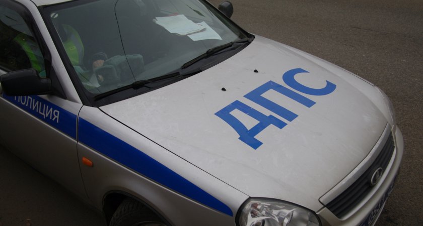 В Пензенской области пьяный водитель устроил драку с полицейским