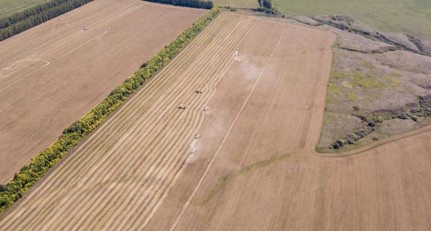 Аграриев Пензенской области обязали следить за плодородием почвы