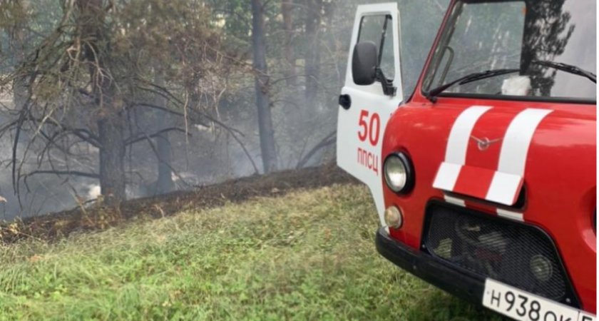 Пензенцев предупреждают о 4 классе пожарной опасности