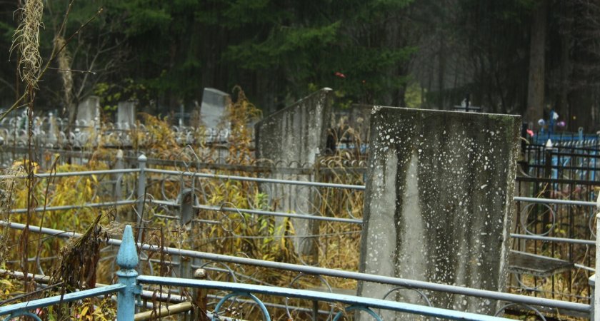 В Пензе заплатят более миллиона тем, кто спилит деревья на кладбищах