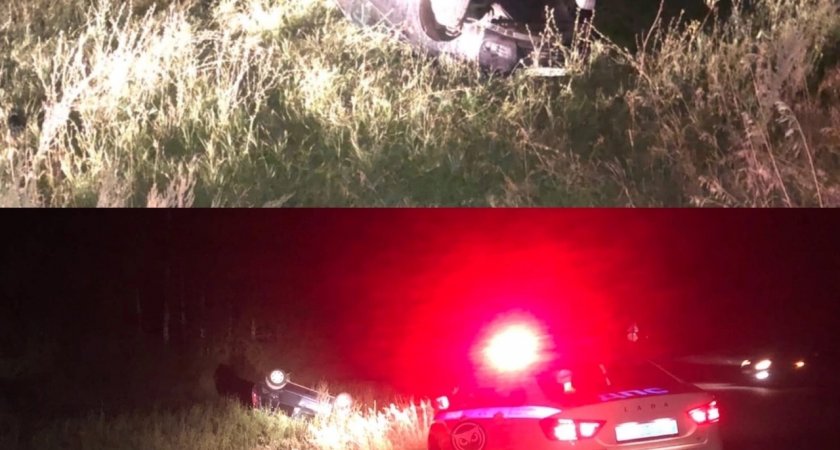 В Пензенской области легковушка улетела в кювет и перевернулась 