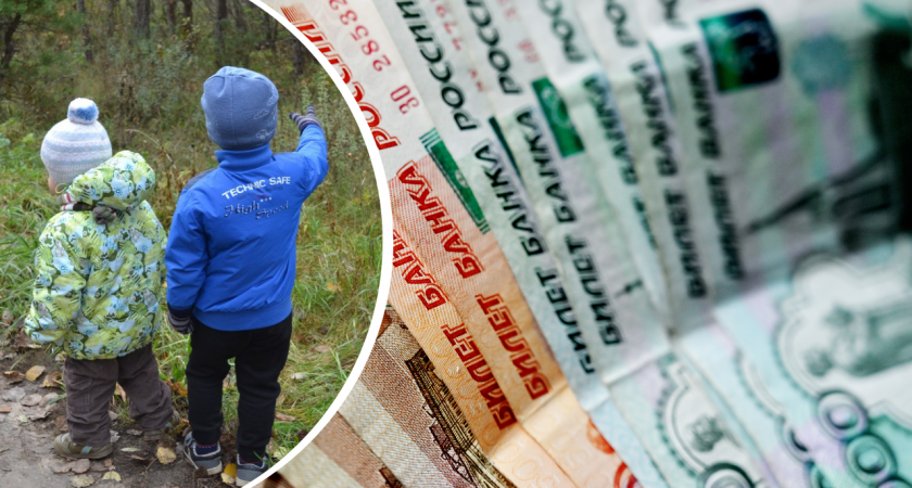 Назвали последний срок подачи заявления на выплату на детей от ПФР 