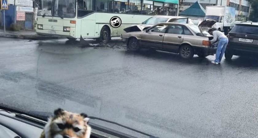 В Пензе легковушка протаранила автобус