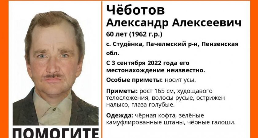 Волонтеры ищут пропавшего без вести 60-летнего жителя Пензенской области 