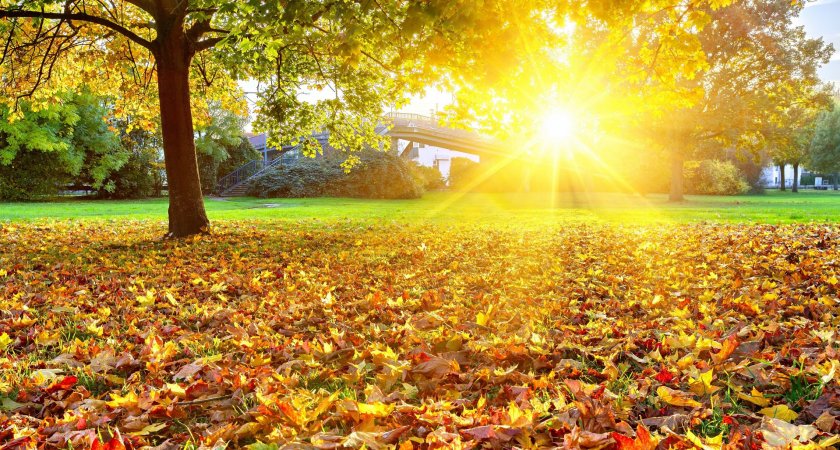 В Пензе на выходных ожидается потепление до +20