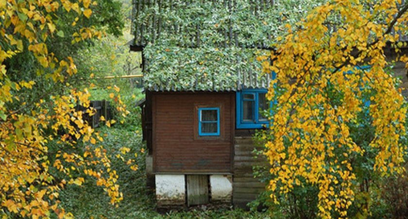 Пензенский губернатор поручил ввести новую меру поддержки пенсионеров