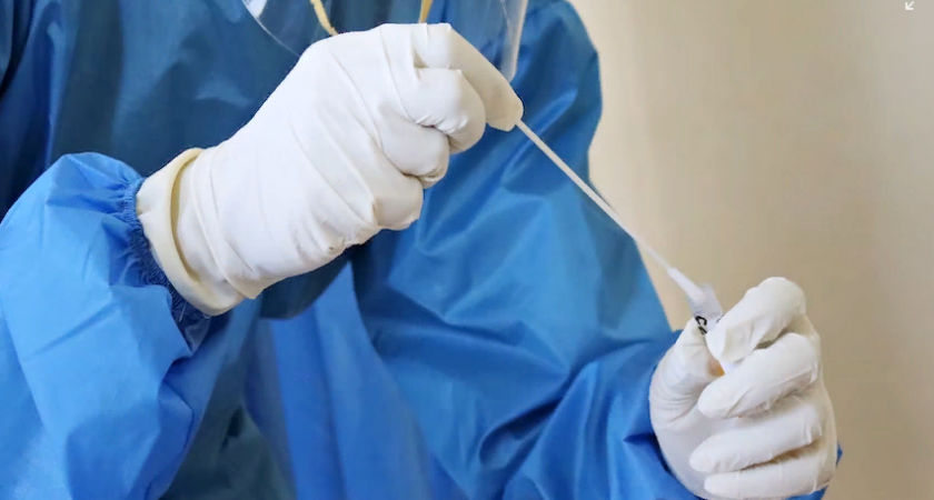 Коронавирус в Пензенской области: выявлено 569 заболевших 