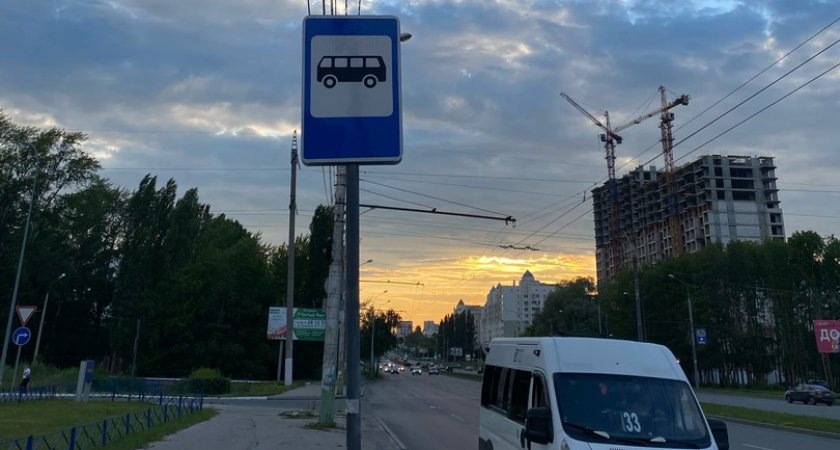 В Пензе нашли 25 опасных для водителей участков дорог