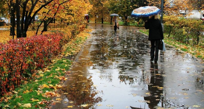 Дожди и тепло: синоптики озвучили прогноз погоды в Пензенской области