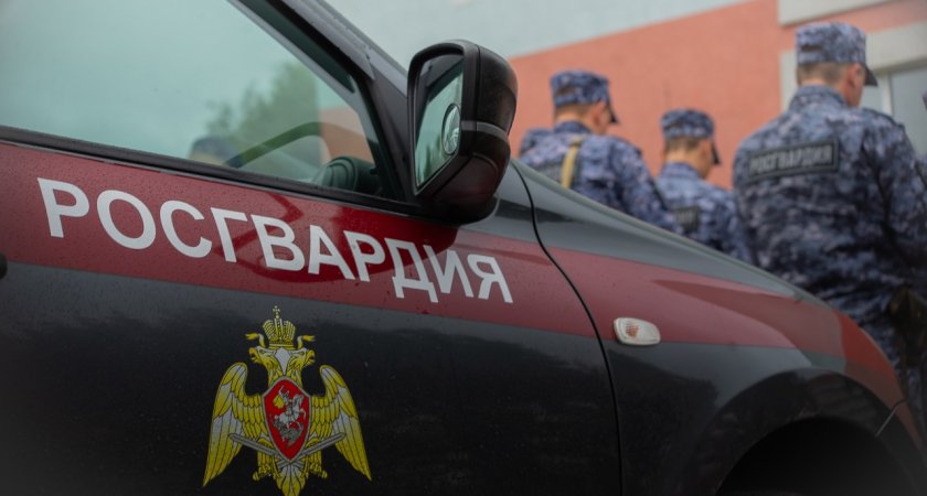 Росгвардейцы задержали пензенца, который пнул чужой Lexus