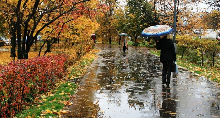 В Пензенской области 22 сентября ожидается дождь и +19