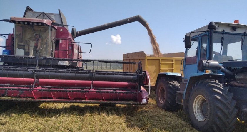 В пензенском регионе валовой сбор пшеницы составил 1,7 млн тонн