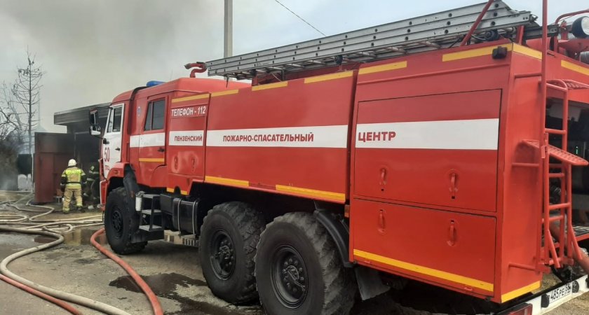 В Пензе пожарные от огня спасли человека 