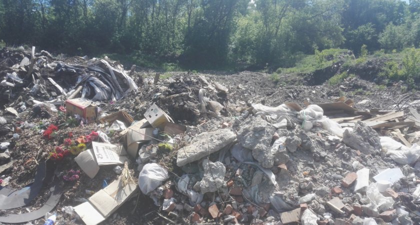 Устранение несанкционированной свалки в Пензенской области обойдется в 93 млн рублей