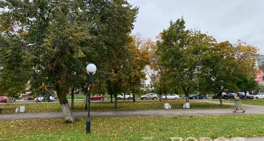 Водителей Пензы просят быть внимательнее из-за тумана