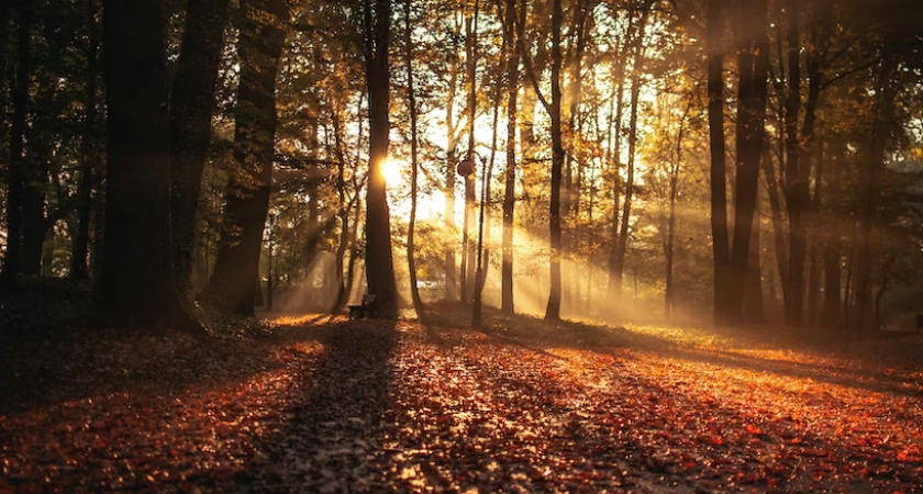 Синоптики рассказали, какая погода ожидается в Пензенской области на выходных