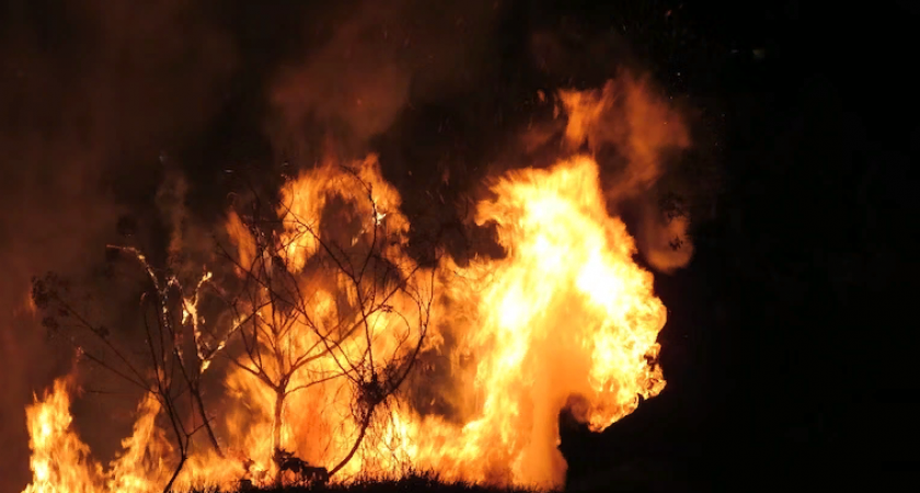 В Пензенской области 15 октября завершается пожароопасный сезон в лесах