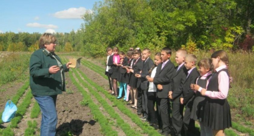 В Пензенской области школьники высадили более 9 тысяч деревьев