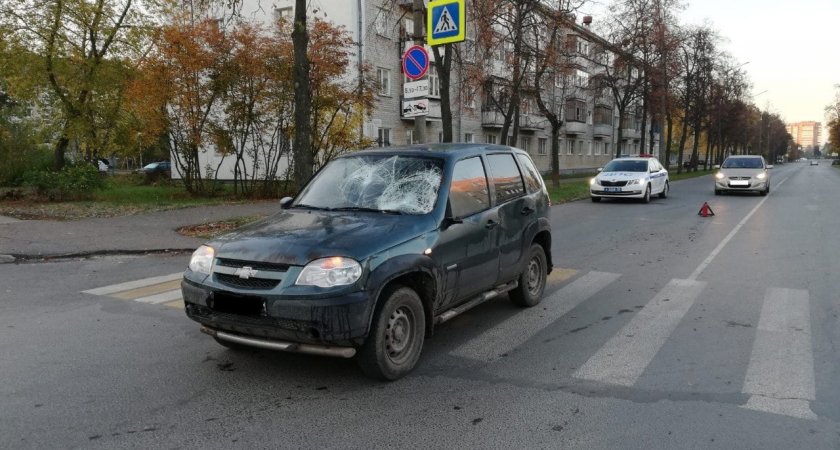 В Заречном водитель Нивы сбил лося 