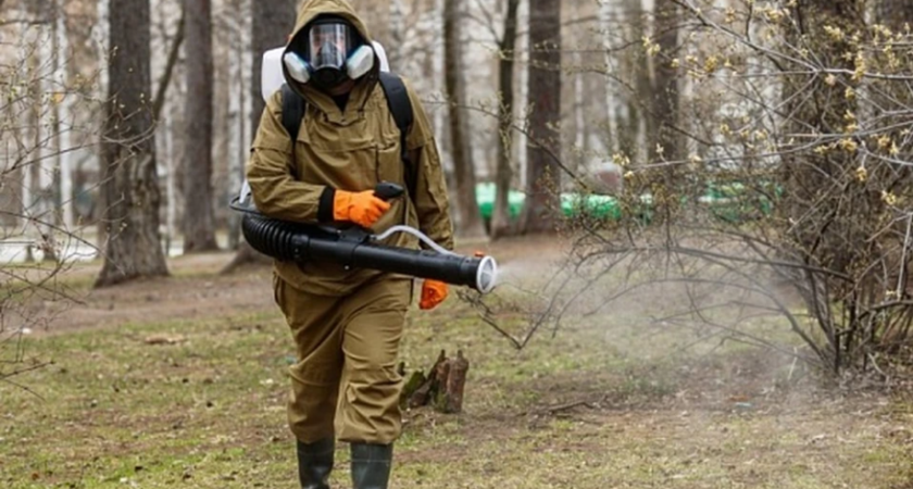 Пензенцев просят на время отказаться от посещения Олимпийской аллеи