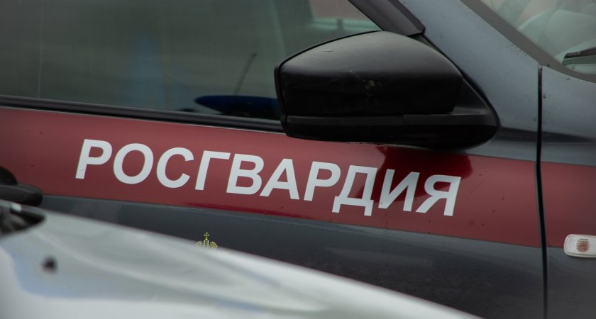 Росгвардейцы задержали мужчину, который пытался обокрасть пензенскую пару