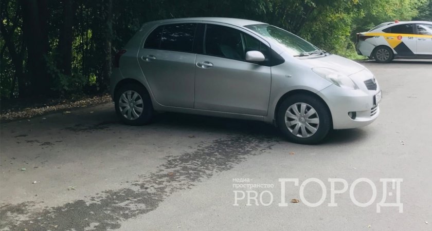 Пензенец получит 100 тысяч рублей за упавшее на машину дерево 