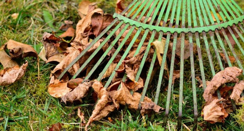 22 октября в Пензе состоится осенний общегородской субботник