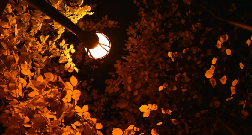 На уличное освещение Пензы добавили еще 50 миллионов рублей