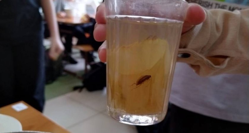 В школе Заречного в стакане компота нашли таракана 