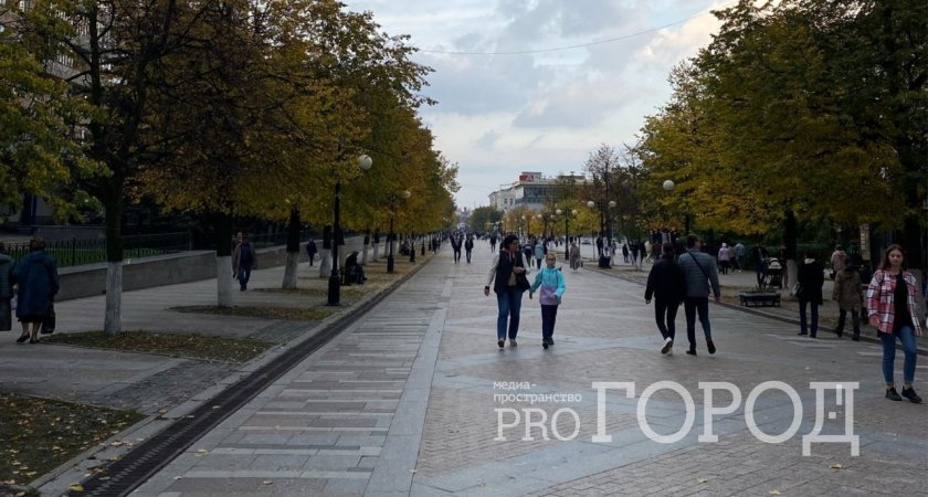 Режим базовой готовности введен в Пензенской области указом Президента