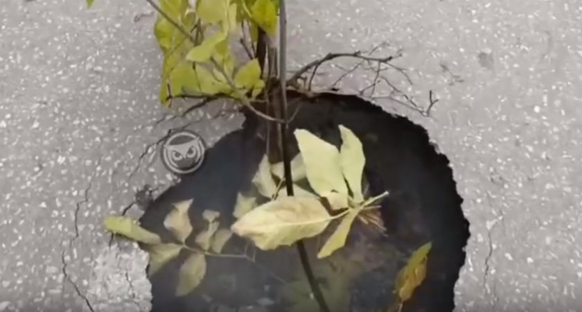 В Пензе на пешеходном переходе у школы провалился асфальт
