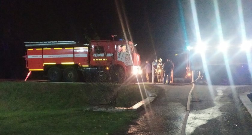 Пензенские спасатели потушили пожар в поселке Мичуринский