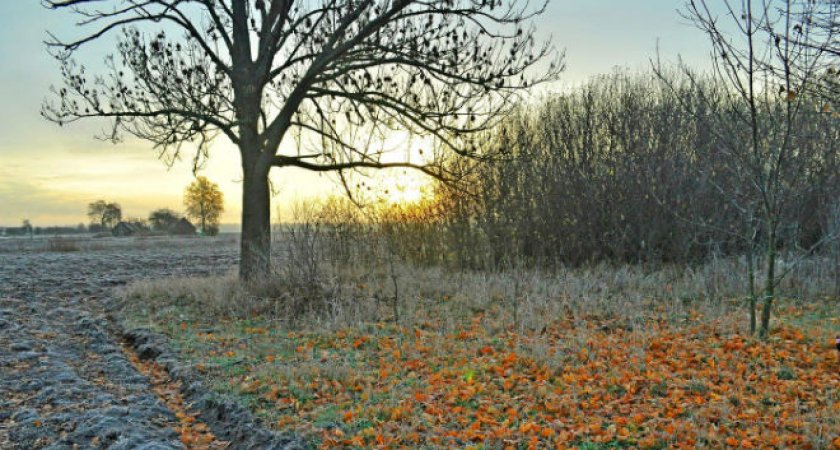 В Пензенской области 26 октября -5 градусов