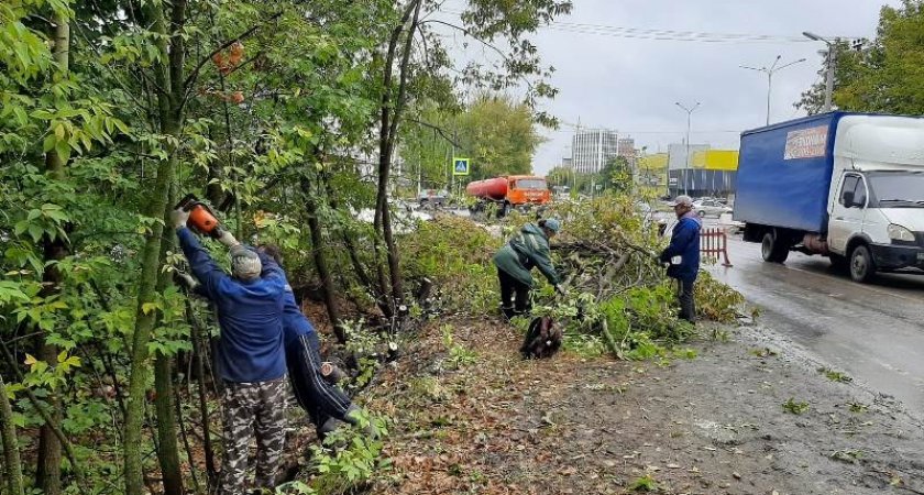 За месяц в Пензе вывезли около трех тысяч кубометров мусора и убрали 500 свалок
