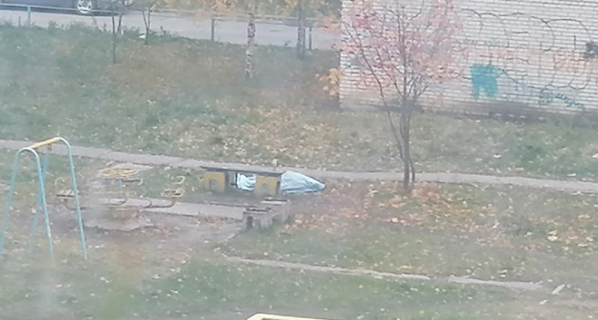 В Пензе на детской площадке нашли труп - соцсети