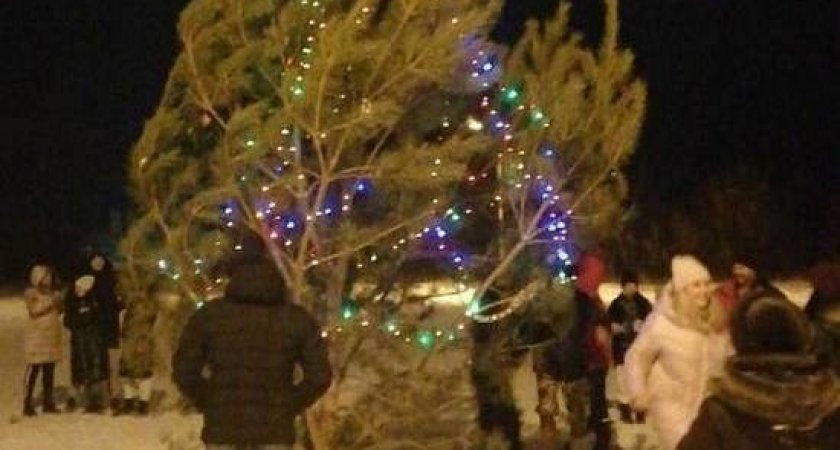 Жители Зари попросили губернатора установить на Новый год нормальную елку