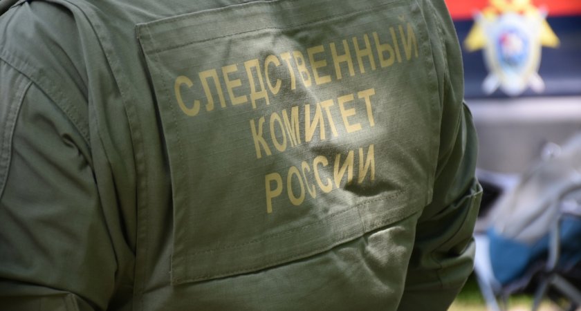 В Мокшанском районе Пензенской области 25-летний водитель напал на полицейского