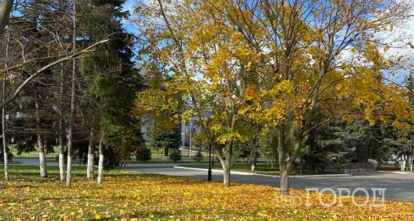 Пензенцы просят не закрывать рано Детский парк на Кронштадтской