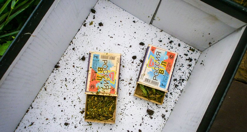 Пензенские полицейские нашли спичечные коробки с коноплей в доме жителя Большого Вьяса