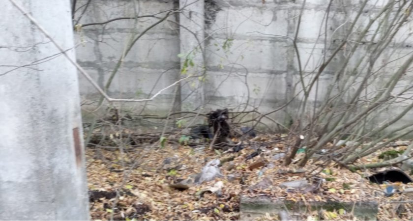 В Пензе нашли труп без вести пропавшего мужчины