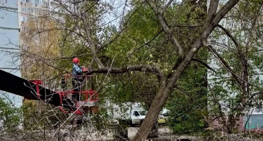 В Пензе убрали стихийную свалку и опасное дерево