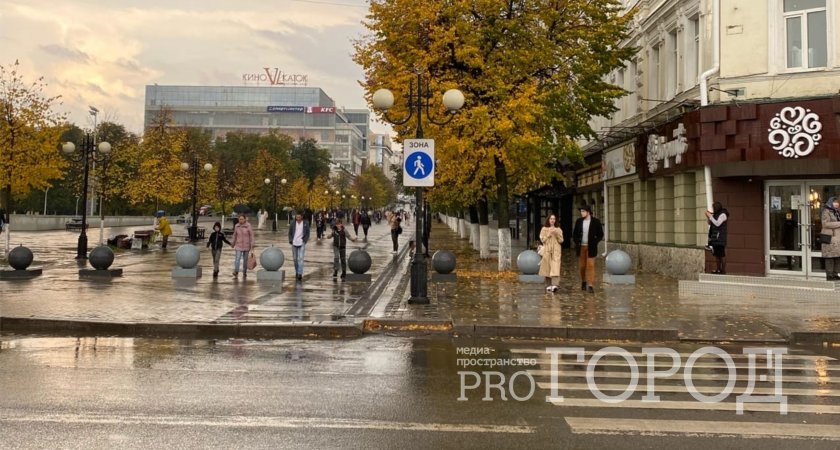 Жителей Пензенской области предупредили о мощном ветре 2 ноября