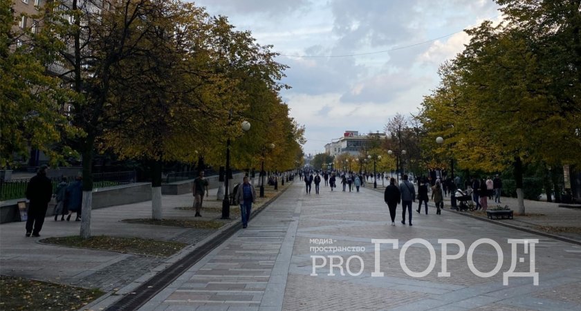 В Пензе установят мемориальную доску почетному радисту России Владимиру Андрианову