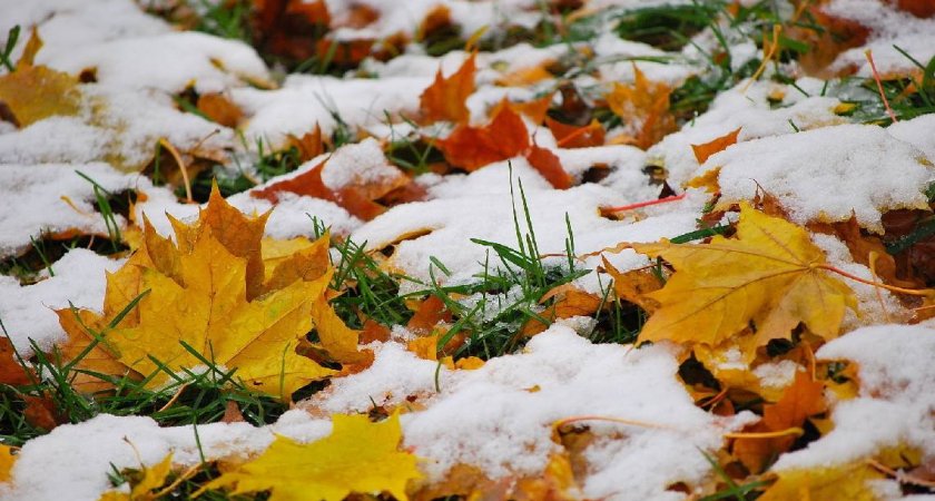 В Пензенской области 5 ноября ожидается густой туман, мокрый снег и +5