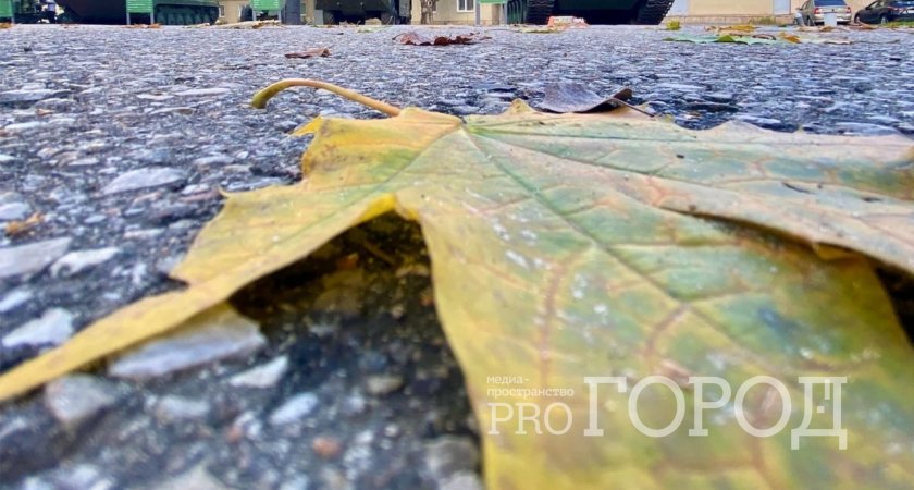 Пензенская область стала второй в ПФО по внедрению инструментов для развития экспорта