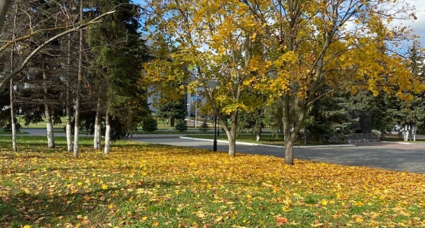 Во вторник в Пензе ожидается до +5 градусов тепла