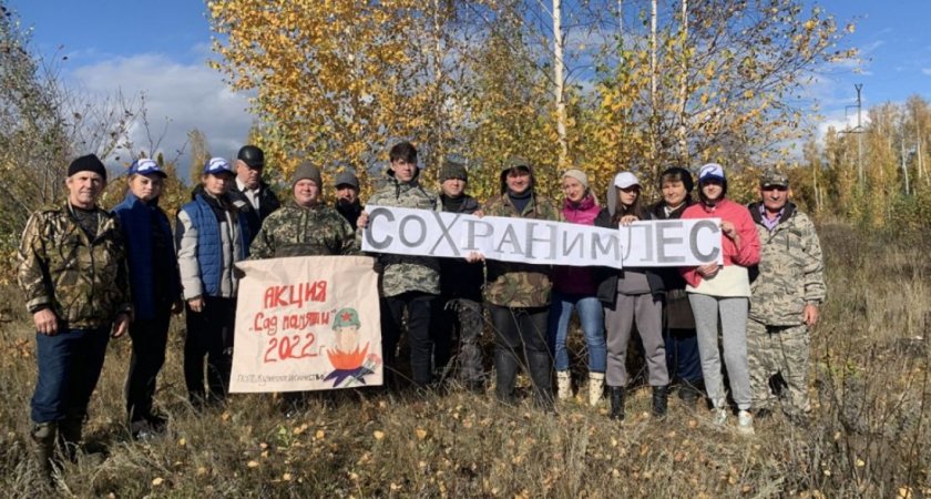 В Пензенской области высадили более 90 тысяч деревьев